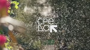 10 минут утренней йоги для начинающих