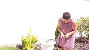 01.08.2025г.НЕ УСПЕЛА  ПЕРЕШАГНУТЬ ПОРОГ ДОМА И ПОНЕСЛОСЬ😁// ОБЫЧНАЯ СЕЛЬСКАЯ ЖИЗНЬ