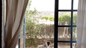 854116-hd_1920_1080_25fps