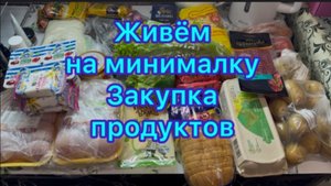 Живём на минималку , закупка продуктов
