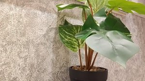 Заплати налоги. Страничка Надежды