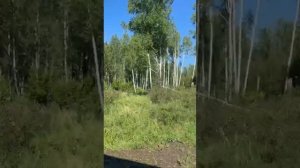 Продается новый дом от застройщика в КП Идиллия (Кременкуль)