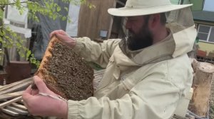 Заселение пчелопакета. Мастеркласс пчеловодство. Академия Пчеловодства Реальный Пчеловод