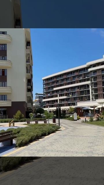 video5217539813212717408