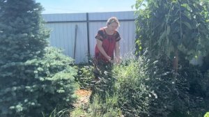 #влог Испорчены каникулы у Сони/ Ситуация на море в Анапе/ Заготовки на зиму/Рецепты