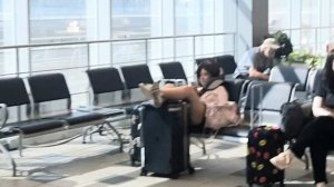 Как доехать из Восточный жд вокзала в Москве на Савёловский Д1 Д4 где станция электрички МЦД D1 и D4