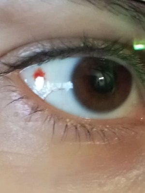 трансляция выясняя что за коробка третья часть