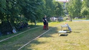 МОЛОДЫЕ СУКИ ДШ / КЧК ТОБОЛЬСК 21 июня`25 И.Швец Моно немецких овчарок