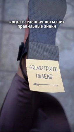 А Вы верите в знаки?