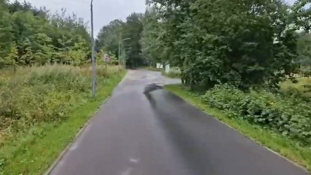 лыжероллерная трасса «Алешкино» смотреть онлайн