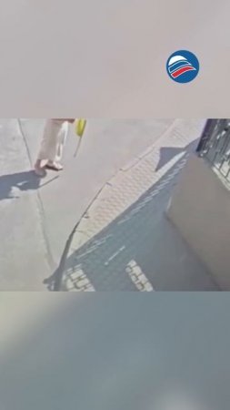 Сила духа: питерская женщина отстояла 500 тысяч у грабителя