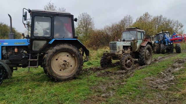 Тракторы МТЗ 82 и МТЗ 1221 спасают застрявший МАЗ. смотреть онлайн