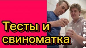 Свиноматка и тесты.Деревенский дневник.