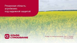 Рязанская область: агробизнес под надежной страховой защитой