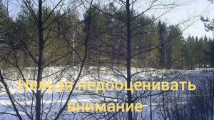 Нисаргадатта Махарадж нельзя недооценивать внимание