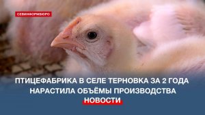 Как в Севастополе поддерживают региональные сельхозпредприятия