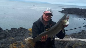 Курильские острова. Остров Итуруп.  Бомжуем на побережье. Морепродукты, рыба, икра, пахлава Часть 1