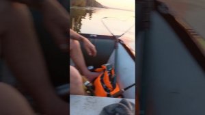 бывает и такое🎣