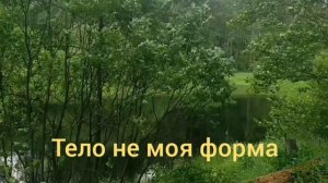 Нисаргадатта Махарадж Тело не моя форма