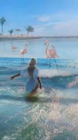 VID_20250801_054329_835.mp4