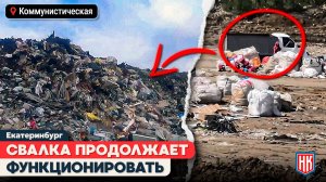 МУСОРНЫЙ КАРЬЕР В ЧЕРТЕ ГОРОДА | ЧТО ТВОРИТСЯ НА КОММУНИСТИЧЕСКОЙ?