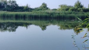 Вязковский пруд. Тамбовская область