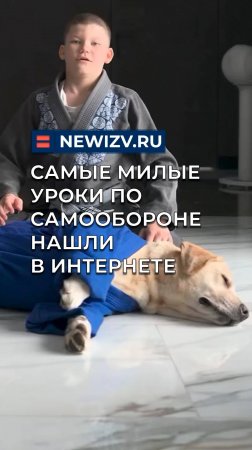 Самые милые уроки по самообороне нашли в интернете