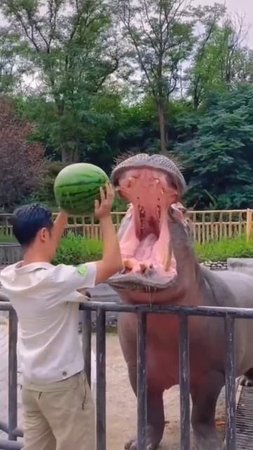 VID_20250801_054320_066.mp4