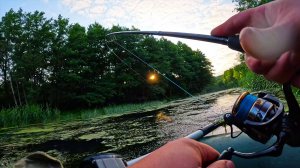 РЫБАЛКА НА СПИННИНГ ЛЕТОМ! ЛОВЛЯ ЩУКИ В НА КРАСИВОЙ ЛЕСНОЙ РЕЧКЕ! Рыбалка 2025