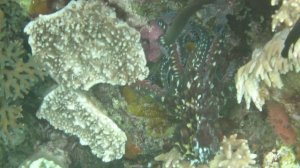 Fam wall east side 2025