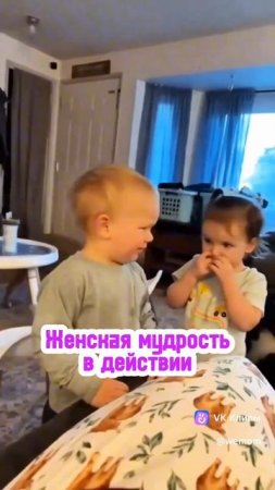 vkclips_20250728065408