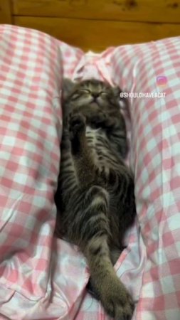доброе утро #shorts