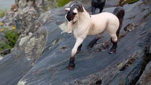 продолжение 613