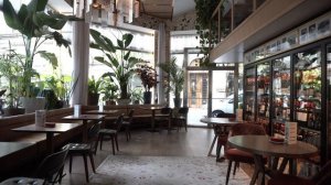 5498709-uhd_3840_2160_25fps