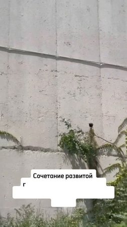 Хотите узнать подробности?  Ставьте ➕️ под данным видео или пишите сообщения ✍️