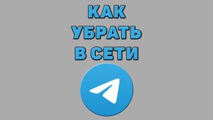 Как убрать в сети в Телеграмме
