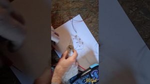 Энергия крыши и земли