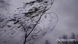 Куда ушла любовь