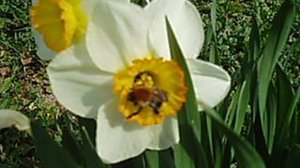 Участок 107, 2006, СНТ Северка, МО