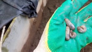 🍓🍓🍓Как сделать новую грядку под КЛУБНИКУ