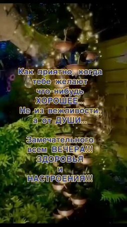 video_9926623892750.mp4