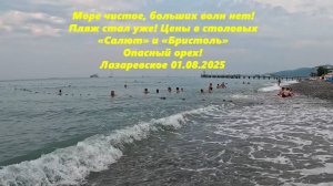 Море чистое, волн нет! Пляж Калипсо стал уже! Цены в столовых Бристоль и Салют Лазаревское 01.08.25