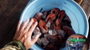 Карельская форель