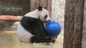 Вчерашний именинник 😂❤️