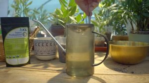 Peters Professional Allrounder – инструкция по применению удобрения