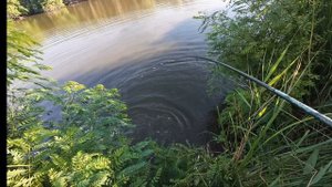 Судак с берега