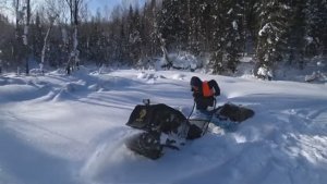 ТЕПЕРЬ ХАСКА РВЁТ С МЕСТА ЗАМЕНИЛИ РЕМЕНЬ И РВАНУЛИ К МАКСУ НА ТАЁЖНУЮ ЗАИМКУ РАБОТЫ НА КРЫШЕ