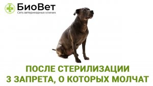 После стерилизации: 3 запрета, о которых молчат.
