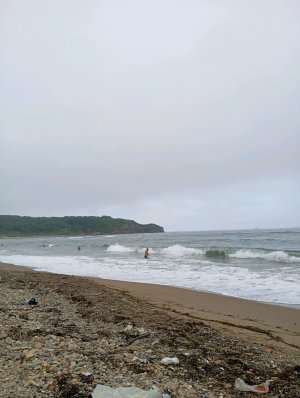 Бухта Щитовая Владивосток 1.08.25