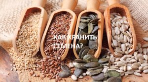 Как и сколько можно хранить семена?